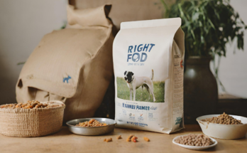 10 Tips for Choosing the Right Farmer's Dog Food
